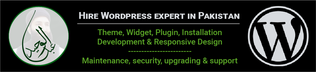 hire wordpress expert in pakistan